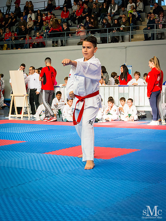 COPA SEUL, 2017  (41).JPG